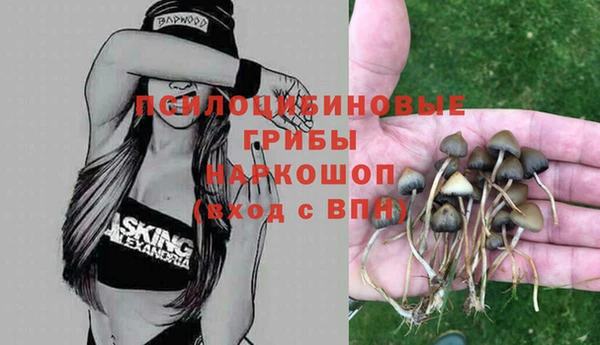 герыч Алексин